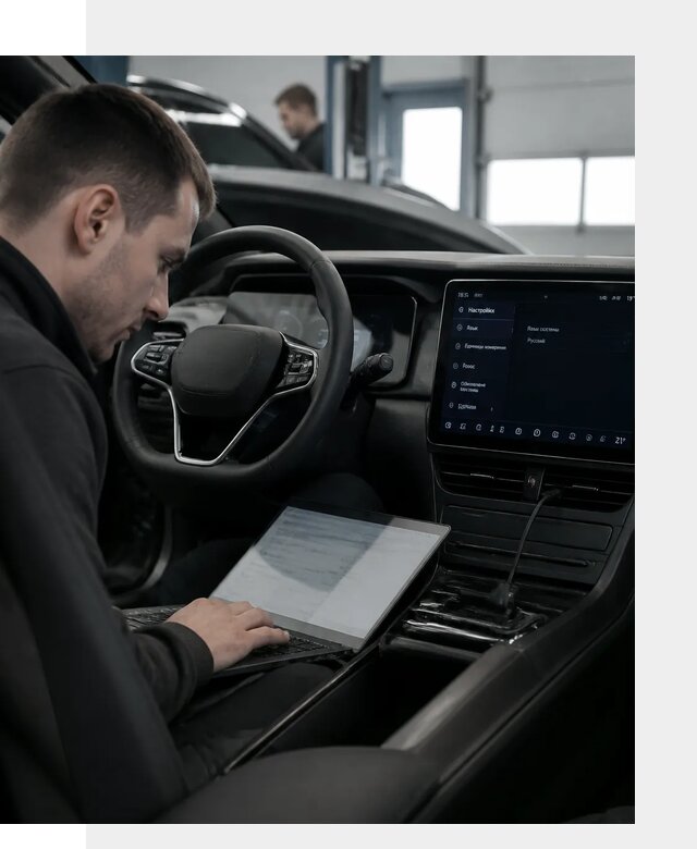Русификация автомобилей BYD под ключ для всех моделей в Нововоронеже