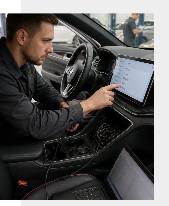 Профессиональная русификация BYD SONG Plus в Нововоронеже